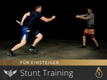 Stunt Training